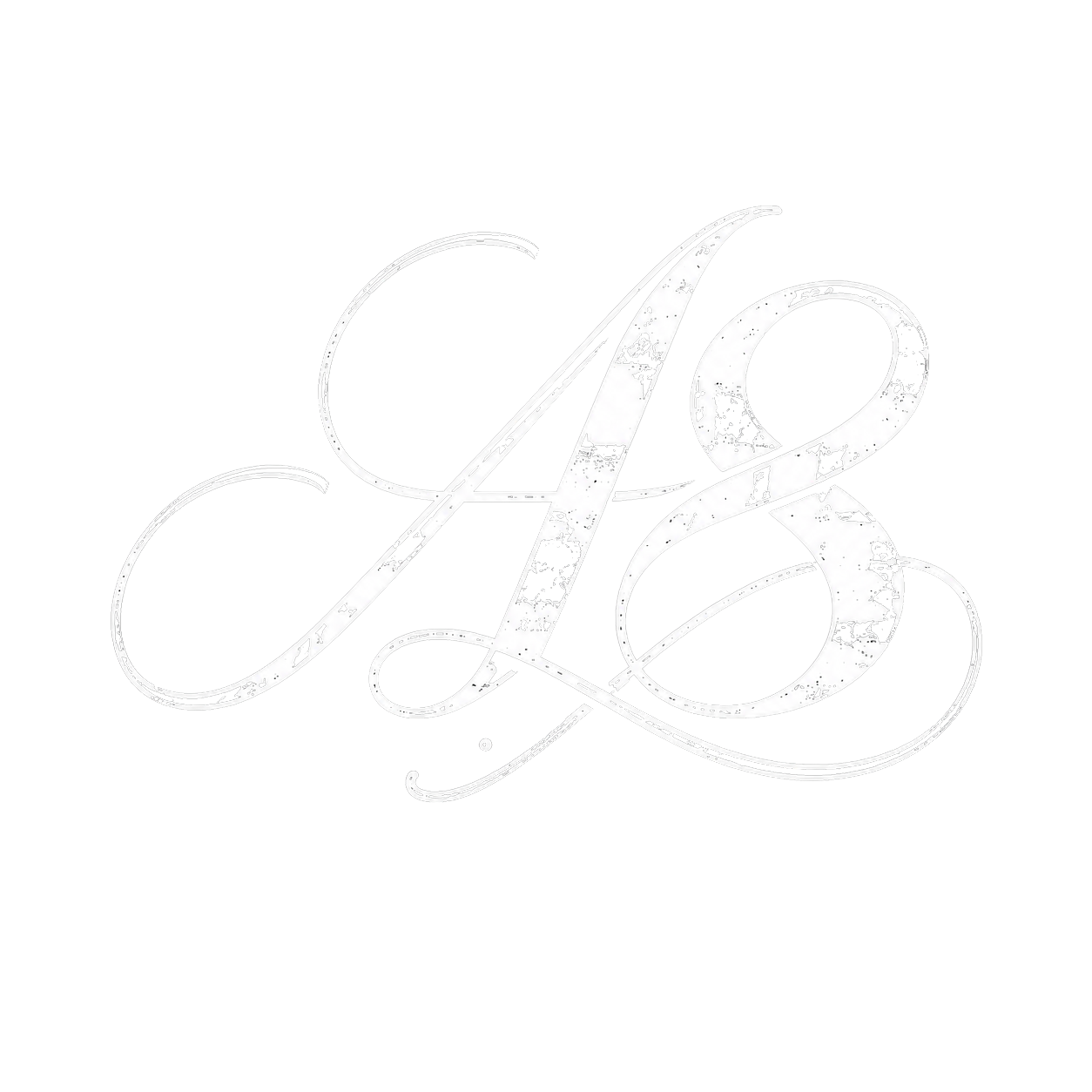 anticp8